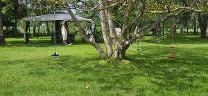 Garden Party Margregoria
