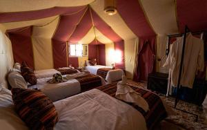 Luxury private in the desert