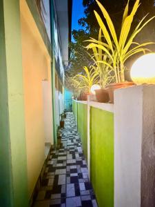 Tipsy Bay Inn - Malapascua