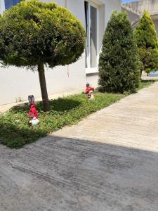 Vila 007