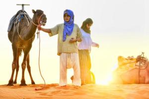 Merzouga luxury Camp & Activities