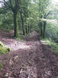 Logement ouvert sur la nature