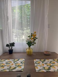 Apartment Angela Zemun 3