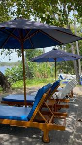 Secret Beach Beachfront Bungalow