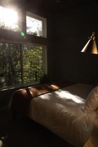 Cozy Luxury Cabin w Hot Tub, Fire Pit, King Bed
