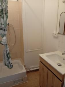 Duplex Rouen centre rive gauche