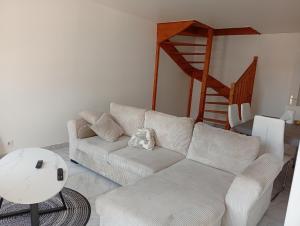 Duplex Rouen centre rive gauche
