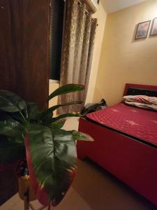 Cozy 1BHK Near Airoli & Rabale 50In Smart TV AC
