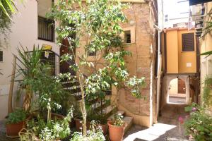 B&B Garden in the city