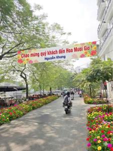 Hoa Mười Giờ 502NK