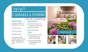 Camaella Luxury Studio with AC