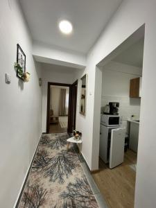 Casa Bocan