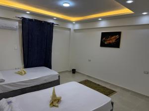 Luxry villa 412