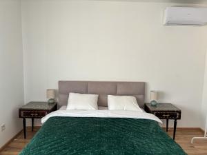 Dabfly Guesthouse & Outdoor Adventures