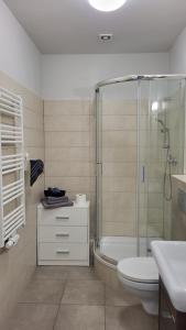 Old Town Apartment Opole