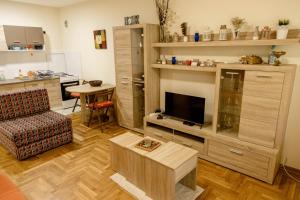 Apartment Vas Raj