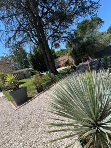 3km Festival villa 4 chambres-jardin piscine - 3parking PMR