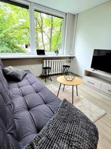 Algirdo Apartments 11