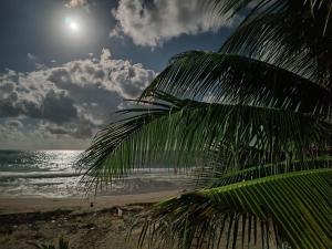 West Breeze