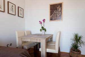 Apartment Anita, Boninovo