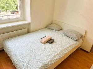 2 Room Center Zurich Flats with Balcony - Hilda