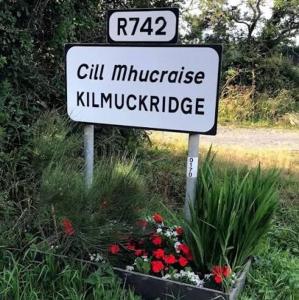Kilmuckridge Holiday Home