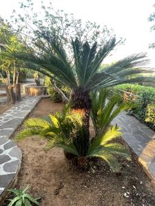 Casa Sciavè - Paradise in Sciacca
