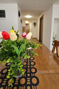 Apartman Djukic Sokobanja 1