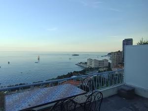 Duplex Residence with Monte Carlo Sea View & 2 Terraces