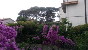Accogliente appartamento vicino al mare a Castiglioncello di Livorno