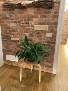 The Sound, Chic Historic Apartment 500m from lake