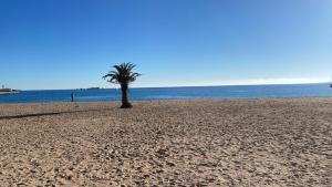 Charmant studio 100 m de la plage