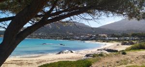 Rez de jardin , vue sur mer