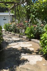 Guest House Mene