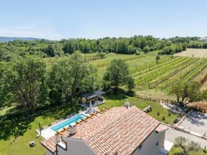 Carpe diem - holiday house with pool & vineyard