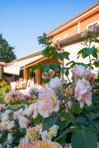 Agriturismo Samsara