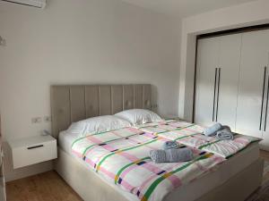 Stylish Room by Canyons & City