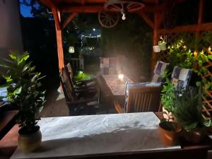 Green Garden Home