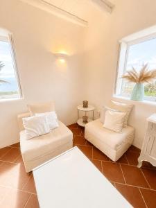 Villa Angelica Mykonos Retreat