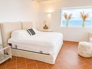 Villa Angelica Mykonos Retreat