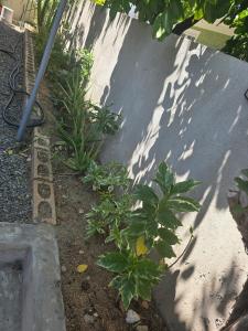 BW Hideaway Portmore Jamaica