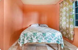 Chams home Rental