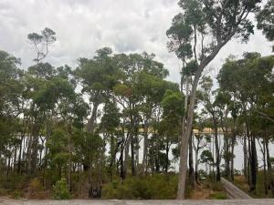 Hempcrete house next to lake