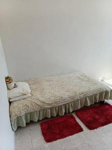Casa Luna, habitación compartida cerca del zoo