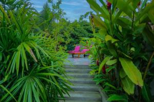 Paradise Villa