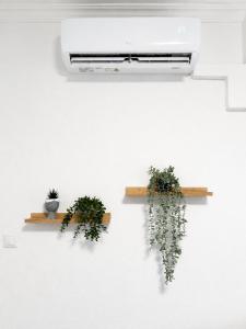 I gabbiani apartment