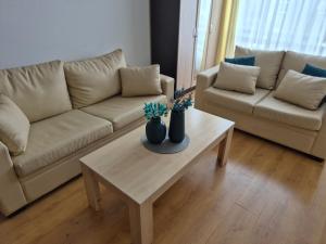 Апартамент Деметрия в Aspen Golf and Ski Resort