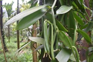 Farmers Nest Home Stay