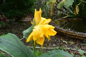 Farmers Nest Home Stay
