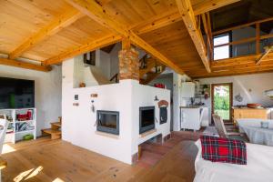 Unique Private Chalet With Panoramic View Ravnik